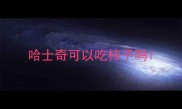 哈士奇可以吃柿子吗