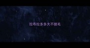 拉布拉多多大不脱毛