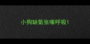 小狗缺氧张嘴呼吸