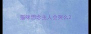 猫咪想念主人会哭么
