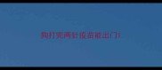 狗打完两针疫苗能出门