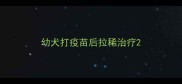 幼犬打疫苗后拉稀治疗