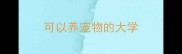 可以养宠物的大学